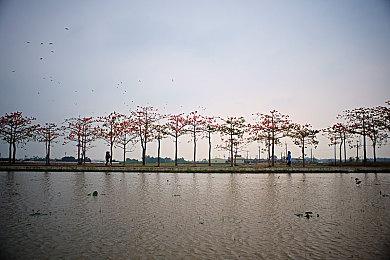 《魔兽争霸1》《魔兽争霸2》复刻版公布 已登陆PC